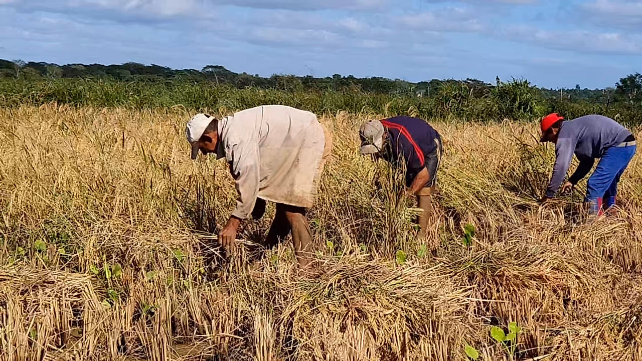 Crisis laboral en Cuba: condiciones de trabajo y cierre de negocios en 2025