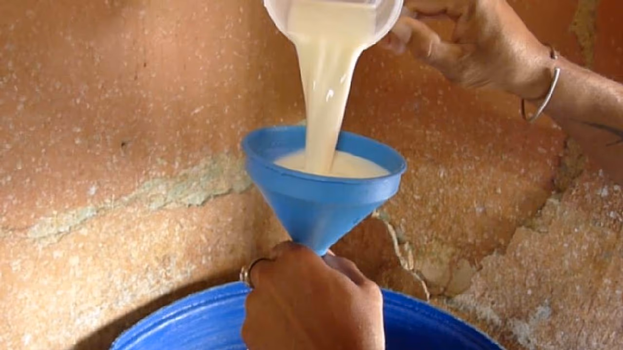 Dieta médica sin leche: el drama del niño diabético en Matanzas