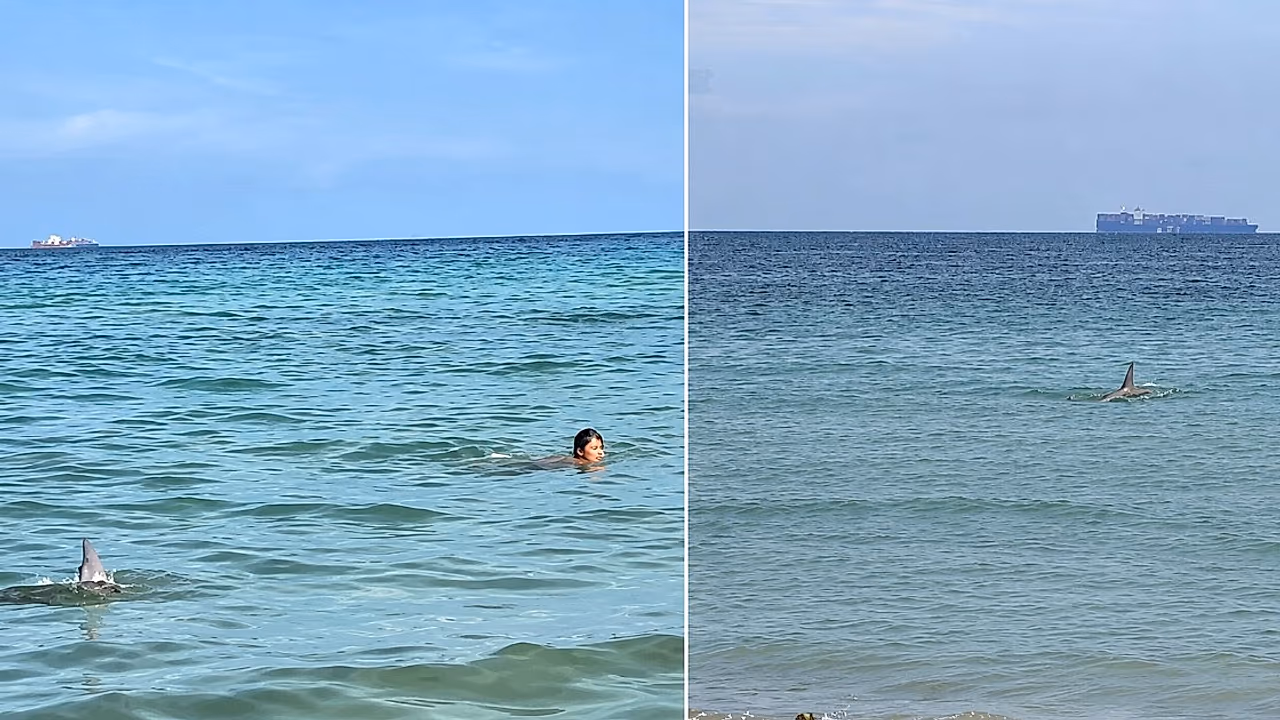 Miami: Reflexión sobre seguridad, ecosistemas y la realidad de vivir en el exilio